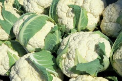 В Астраханскую область не допущен ввоз 177 тонн овощей