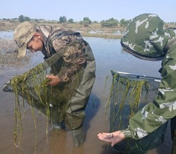В Красноярском округе работает «Голубой патруль»