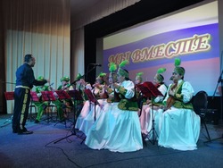 В Красном Яре прошёл благотворительный концерт «Мы вместе»