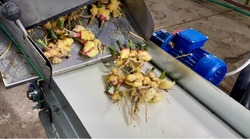 Красноярские аграрии приступили к сбору урожая