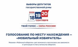Астраханцы могут проголосовать на выборах по месту фактического пребывания