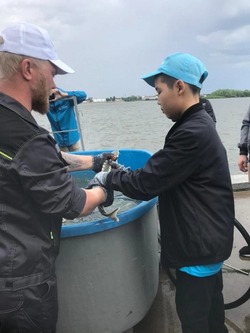 Красноярские школьники приняли участие в экологической акции