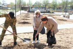 В Красноярском районе продолжается акция «Сад памяти»