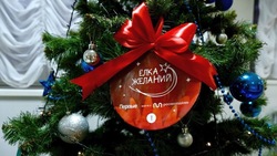 Представители власти исполнили желания красноярских ребят