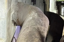 В селе Красный Яр продолжается реконструкция водоочистной станции 