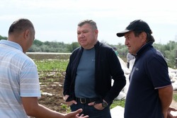 Красноярские фермеры готовы обеспечить рынок сельхозпродукцией
