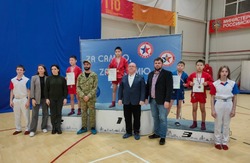 Красноярские спортсмены стали призёрами областного турнира по самбо