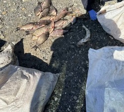 В Красноярском округе инспекторы обнаружили незаконный улов