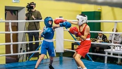 Юные красноярские боксёры стали призёрами всероссийского турнира 