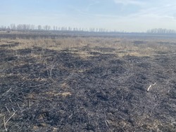 В Красноярском округе ввели противопожарный режим 
