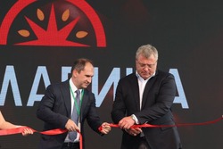  В Красноярском округе открыли завод по переработке томатов