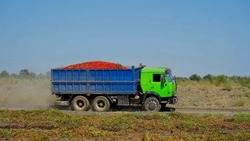 На территории красноярского завода продолжается уборочная кампания