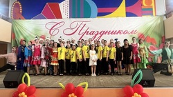 В красноярской школе искусств прошёл концерт в рамках Года единства народов