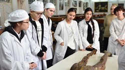 Красноярские школьники погрузились в мир медицинской науки