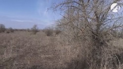За что у астраханцев могут забрать землю