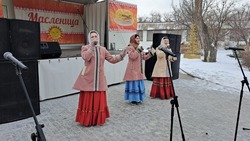 Красноярские творческие коллективы приняли участие в областном празднике 