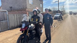 Сотрудники Красноярской Госавтоинспекции провели профилактический рейд