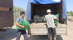 Красноярские фермеры отправили гуманитарную помощь беженцам 